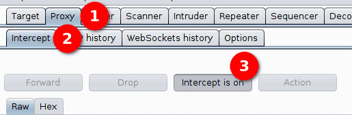burp suite disable intercept