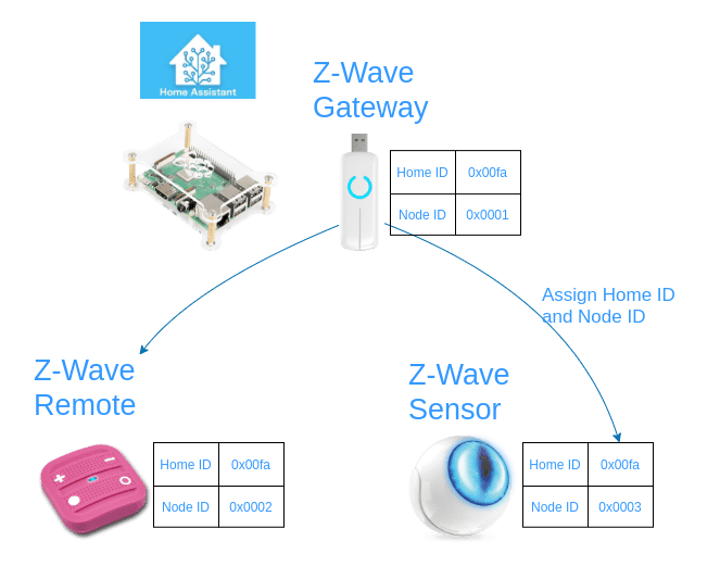 Z-Wave identifiers
